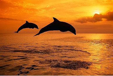 《使命召唤：现代战争3》PC预告、解锁时间和配置公开